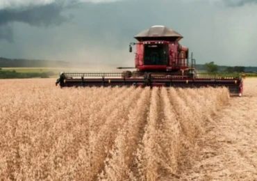 agrogoias-1024x512