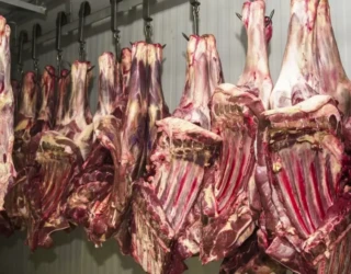 4-abre-1-Exportacao-de-carne-Foto_-Marcello-Casal-Jr_ABr-1-1024x613 (1)