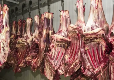 4-abre-1-Exportacao-de-carne-Foto_-Marcello-Casal-Jr_ABr-1-1024x613 (1)