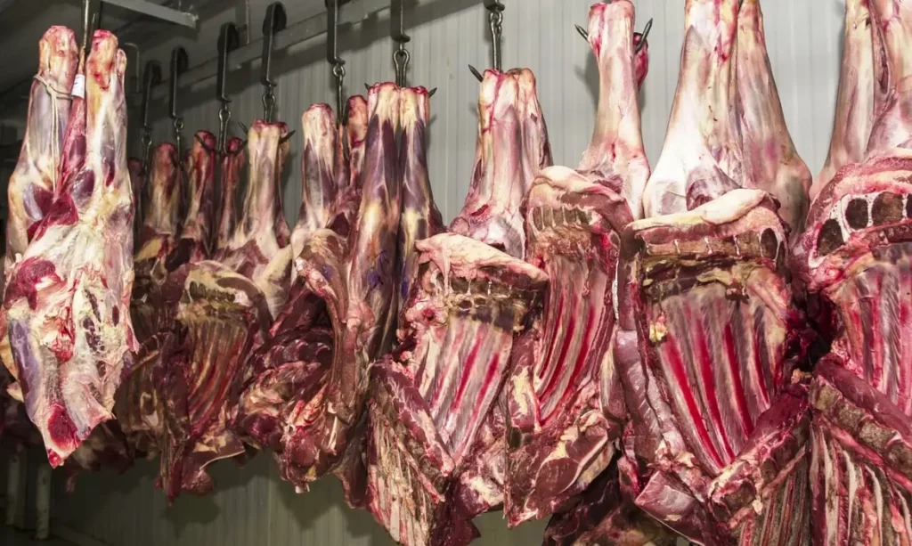 4-abre-1-Exportacao-de-carne-Foto_-Marcello-Casal-Jr_ABr-1-1024x613 (1)