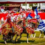 cavalhadas