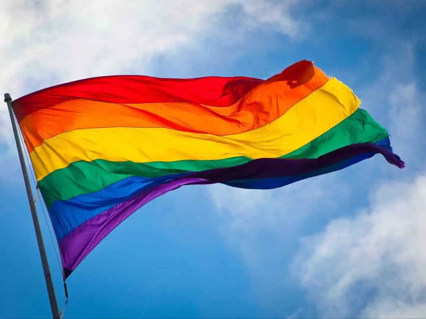 1787262693-siginificado-bandeira-lgbt-2
