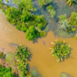 1787831000-fenomeno-el-nino-volta-a-se-formar-e-acende-alerta-para-impactos-climaticos-750x375-1