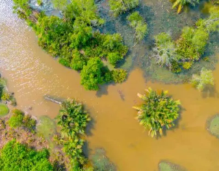 1787831000-fenomeno-el-nino-volta-a-se-formar-e-acende-alerta-para-impactos-climaticos-750x375-1