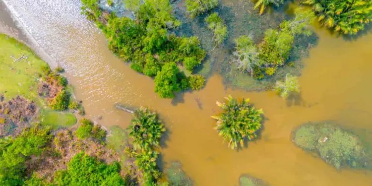 1787831000-fenomeno-el-nino-volta-a-se-formar-e-acende-alerta-para-impactos-climaticos-750x375-1