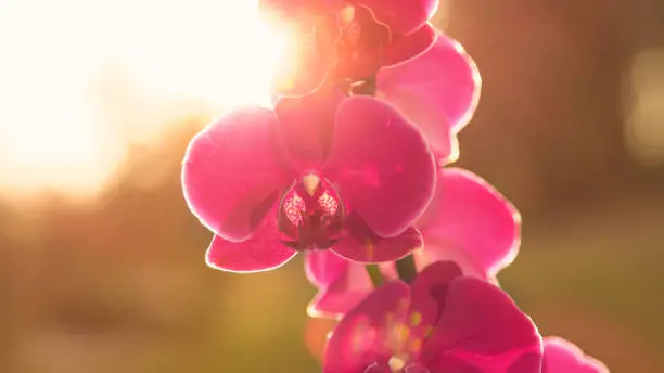 istockphoto-1410107551-612x612