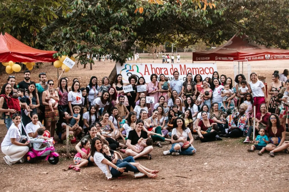 mamaco-2026_divulgacao-960x640