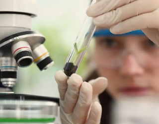 IMG_2131