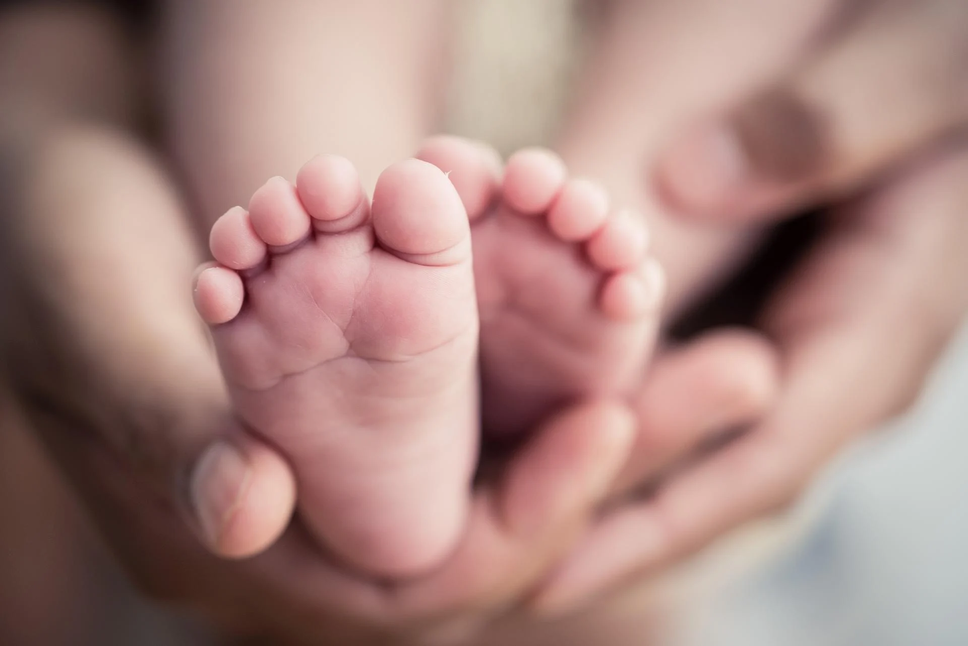 licenca-maternidade-bebe-recem-nascido-1580841761129_v2_1920x1281